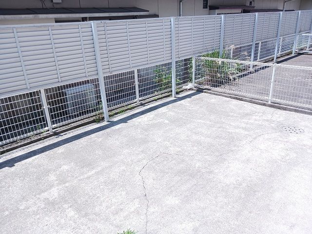庭