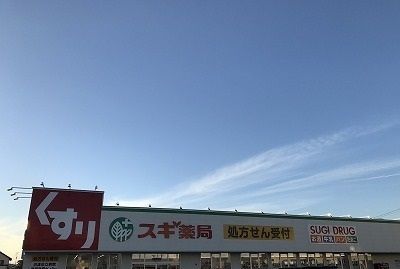 近くのドラッグストアまで700m（徒歩9分）