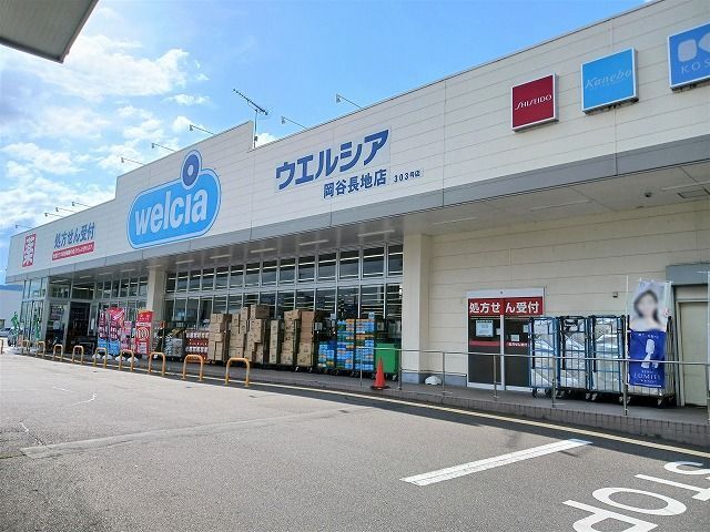 近くのドラッグストアまで1,000m（徒歩13分）