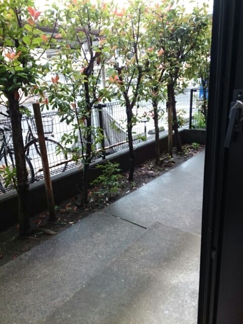 庭