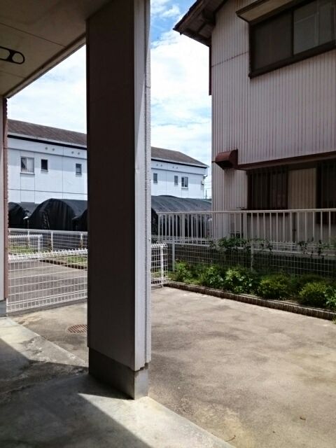 庭