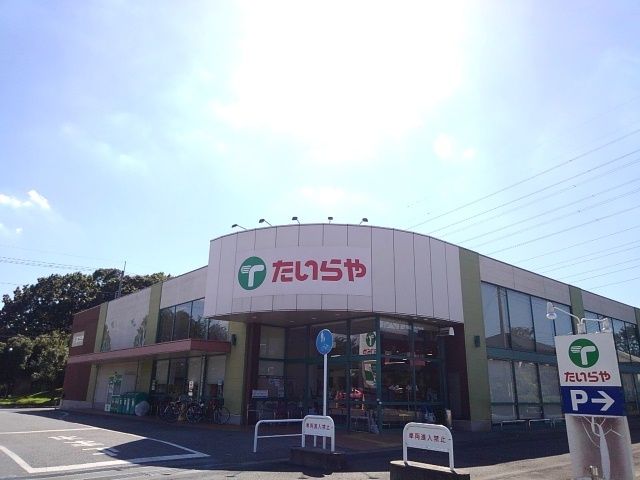 近くのたいらや自治医大店まで300m（徒歩4分）
