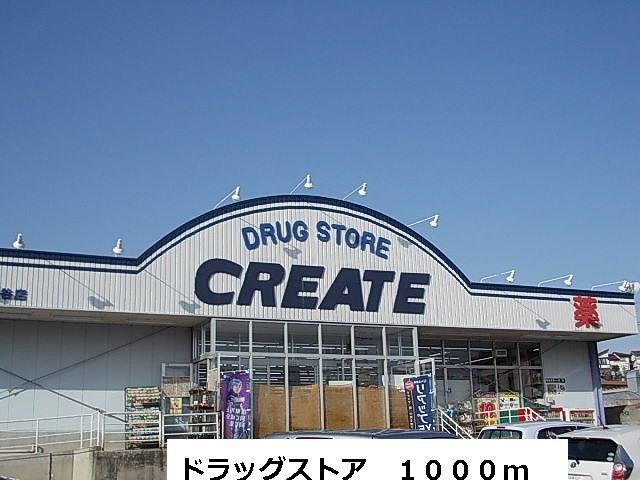 近くのドラッグストアまで1,000m（徒歩13分）