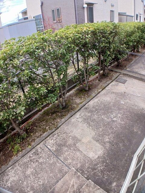 庭