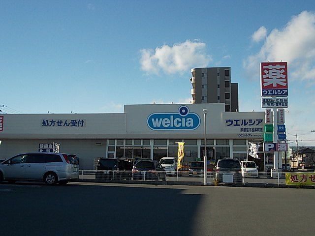 近くのウエルシア薬局平松本町店まで500m（徒歩7分）