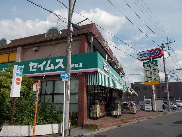 近くのドラッグセイムス姉崎店まで1,200m(徒歩15分)