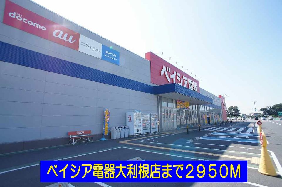 近くのベイシア電器大利根店まで2,950m（徒歩37分）