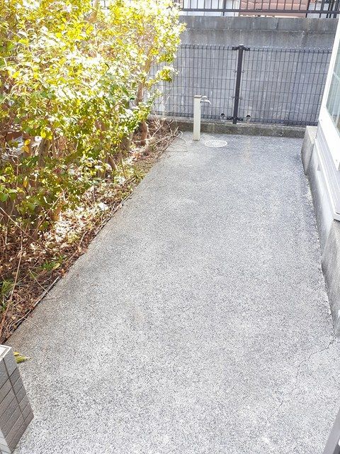 庭