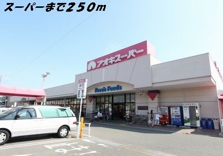 近くのスーパーまで250m（徒歩4分）