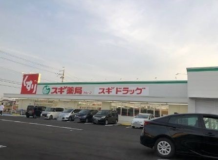 近くのスギドラッグ加古川野口店まで650m（徒歩9分）