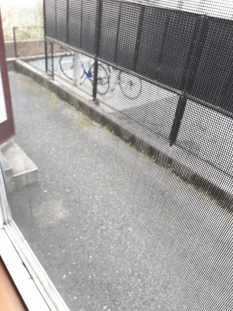 庭