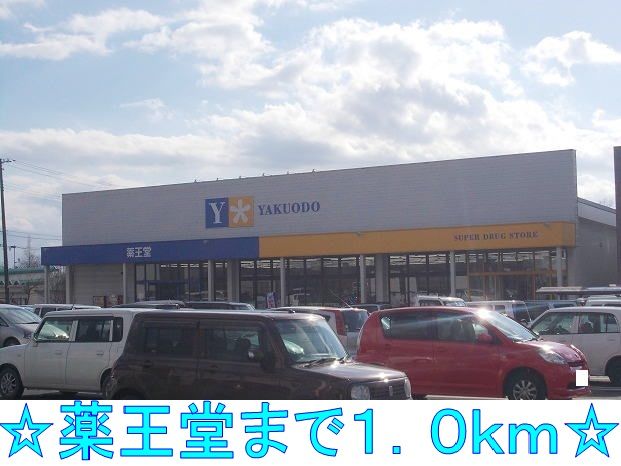 近くの薬王堂まで1,000m（徒歩13分）