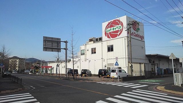 近くのレッドキャベツ徳力店まで780m（徒歩10分）