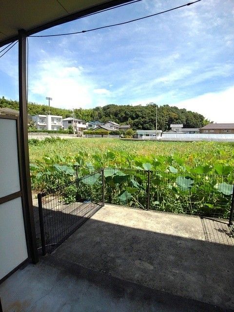 庭