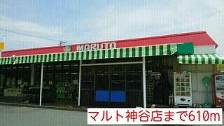 近くのマルト神谷店まで610m（徒歩8分）