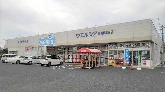 近くのウエルシア鹿嶋宮津台店まで260m（徒歩4分）