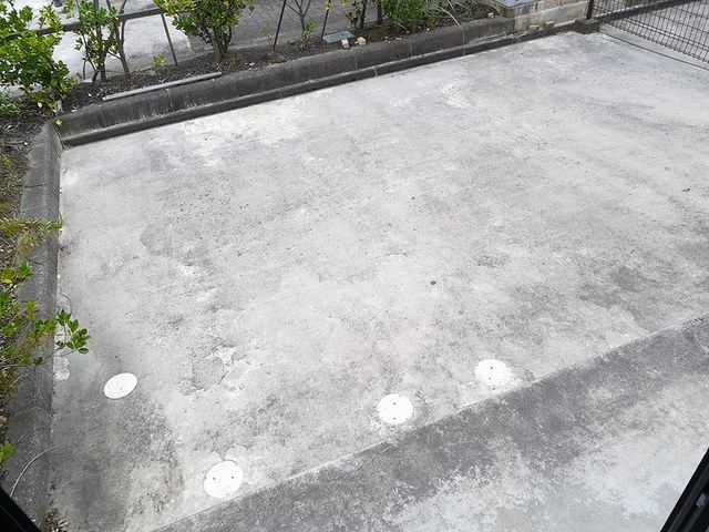 庭