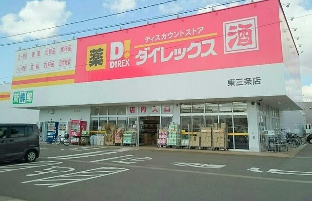 近くのダイレックス東三条店まで750m（徒歩10分）