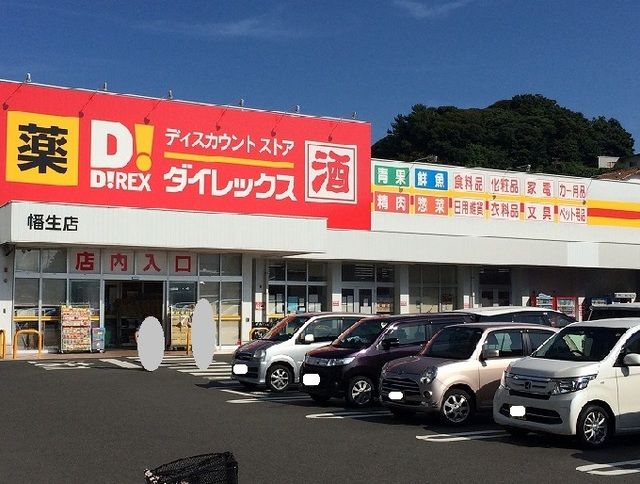 近くのダイレックスまで1,400m（徒歩18分）