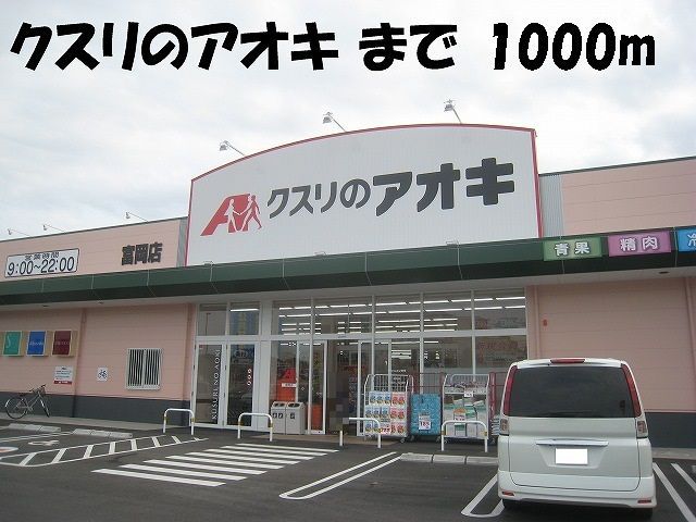 近くのクスリのアオキまで1,000m（徒歩13分）