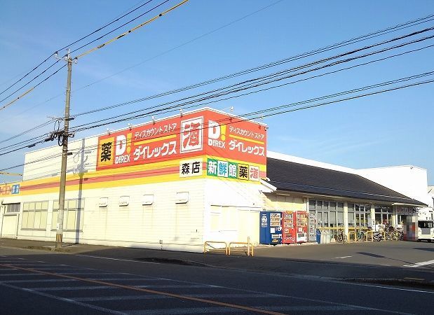 近くのダイレックスまで500m（徒歩7分）