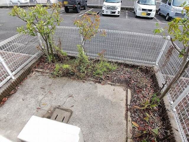 庭