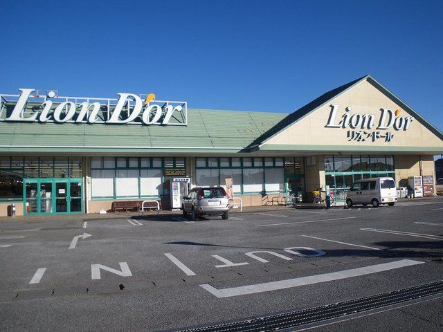 近くのリオン・ドール高根沢東店まで560m(徒歩7分)