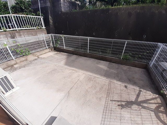 庭