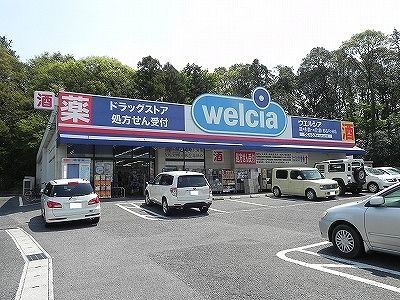 近くのドラッグストアまで900m（徒歩12分）