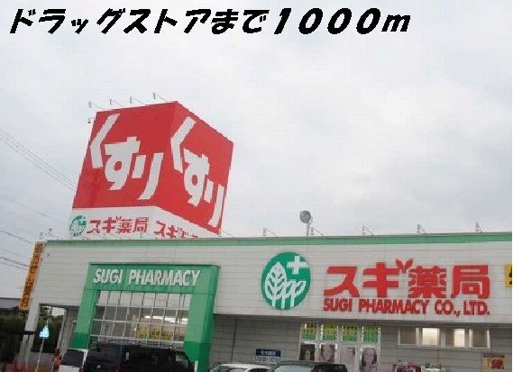 近くのドラッグストアまで1,000m（徒歩13分）