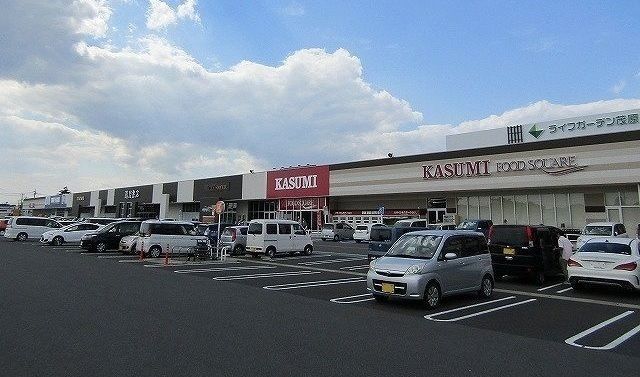 近くのライフガーデン茂原店まで900m（徒歩12分）