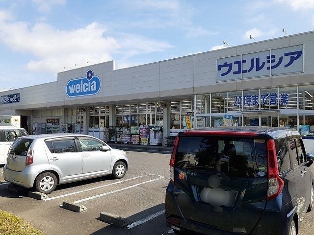 近くのウエルシア龍ヶ崎長山店まで580m（徒歩8分）