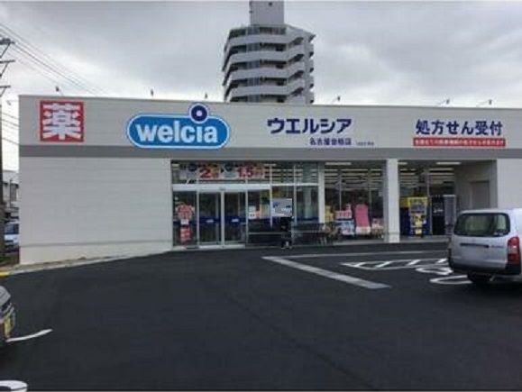 近くのドラッグストアまで750m（徒歩10分）