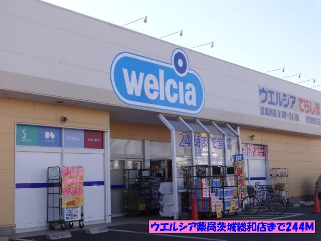 近くのウエルシア薬局茨城総和店まで244m（徒歩4分）