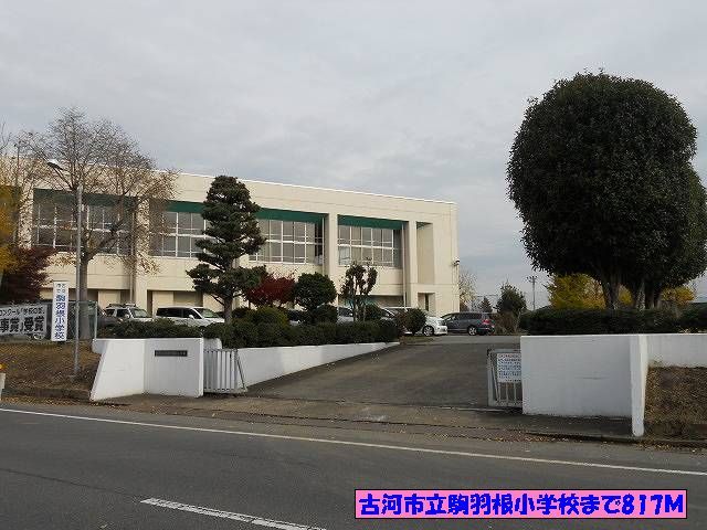 近くの古河市立駒羽根小学校まで817m（徒歩11分）