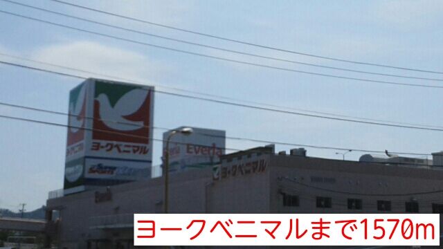 近くのヨークベニマルまで1,570m（徒歩20分）