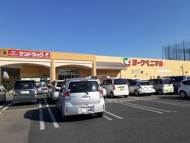近くのヨークベニマル石井店まで800m(徒歩10分)