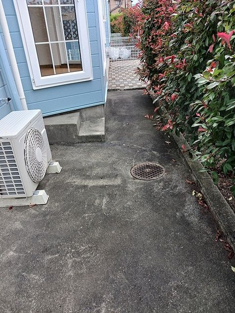 庭