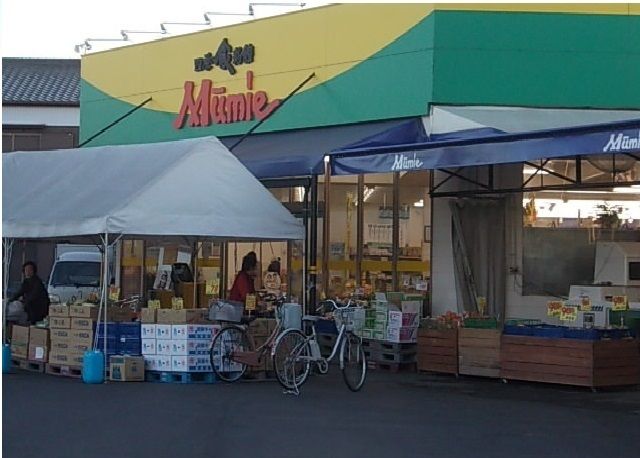 近くのムーミー三本松店さんまで500m(徒歩7分)