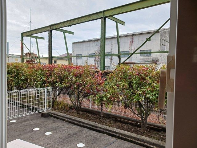 庭