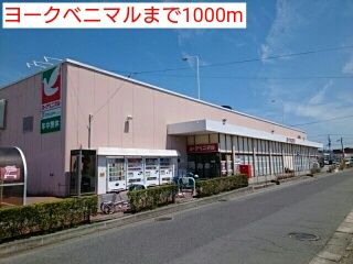 近くのヨークベニマルまで1,000m（徒歩13分）