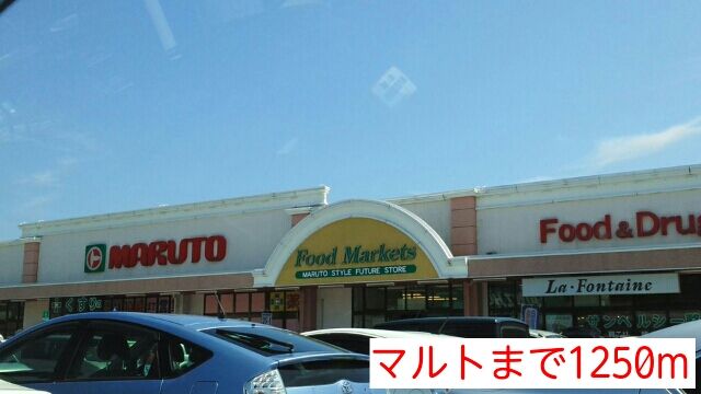 近くのマルトまで1,250m（徒歩16分）