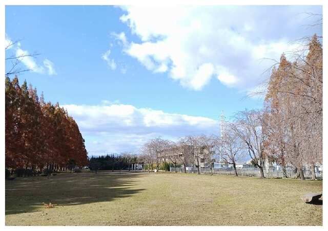 近くの石垣池公園まで170m（徒歩3分）