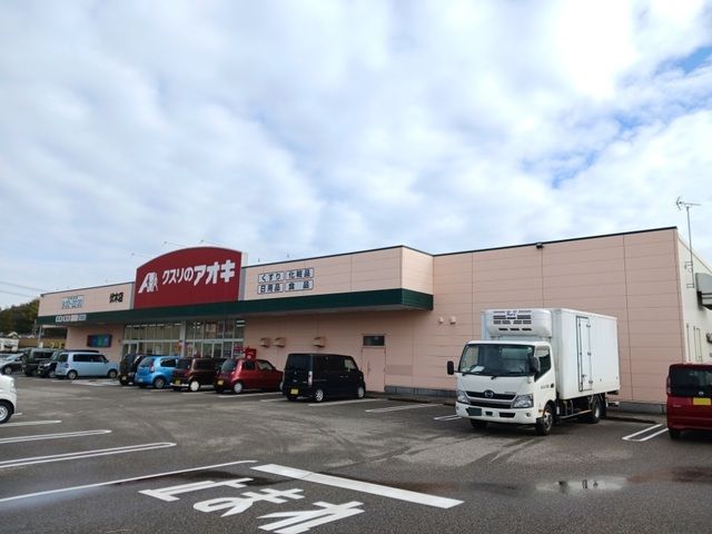 近くのクスリのアオキまで700m（徒歩9分）