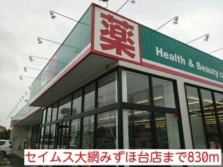近くのセイムス大網みずほ台店まで830m（徒歩11分）