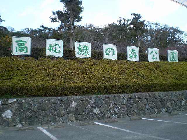 近くの緑の森公園まで800m(徒歩10分)