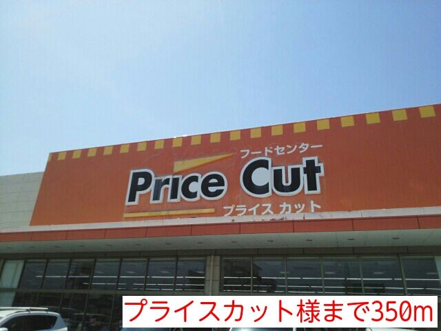 近くのプライスカット様まで350m(徒歩5分)