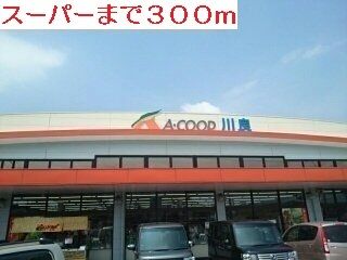 近くのスーパーまで300m(徒歩4分)