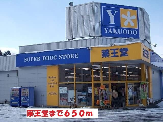 近くの薬王堂盛岡名須川店まで650m（徒歩9分）