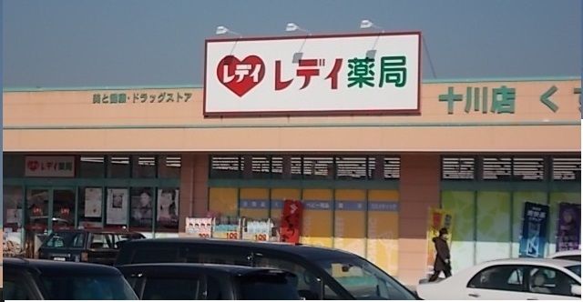 近くのレディ薬局十川店さんまで450m（徒歩6分）